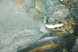 Gary Green Jasper (Larsonite) Bog Wood Slab - Oregon #377777-1